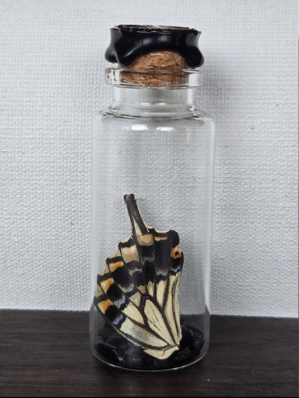 Butterfly Wing In Jar